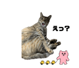596586107