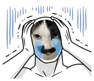 596595705