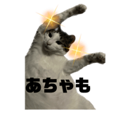 596595707