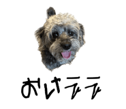 596650617