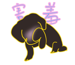 596681893