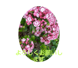 596687322