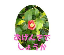 596687327