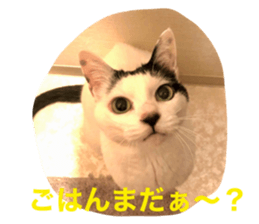 596693861