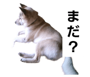 596759784