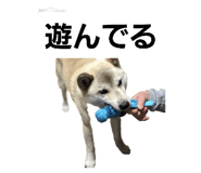 596759787