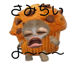596853527