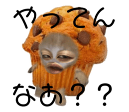 596853528