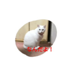 596901844