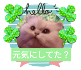 596930108