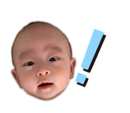 596937790