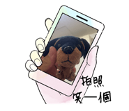 596943562