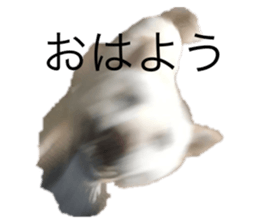 596944420