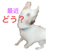 596944421