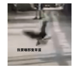 596945815