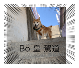 596947938