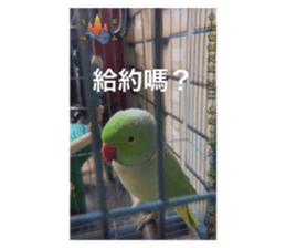 596952388