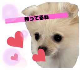 596966148