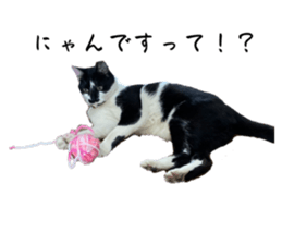 596966968