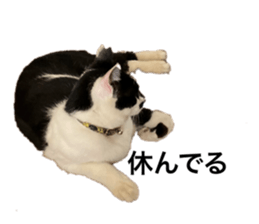 596966969