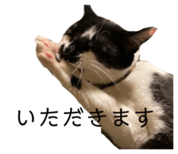596966983