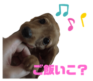 596970808