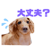 596970809