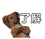 596970812
