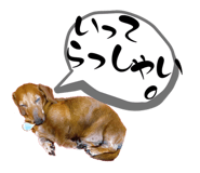 596987840