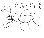 597022903