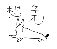 597022904