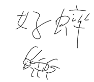 597022907