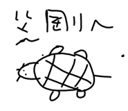 597022909