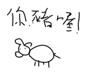 597022911