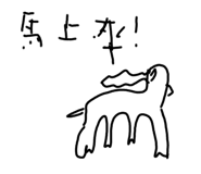 597022914