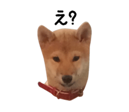 597141271