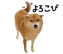 597141272