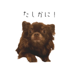597160409