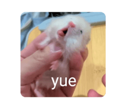 597170768