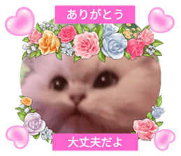 597189117