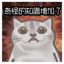 597198648