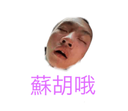 597201732