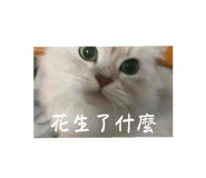597227263