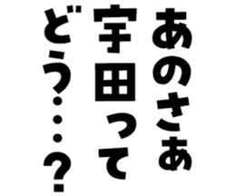 597255884