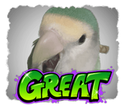597280322