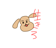 597281794