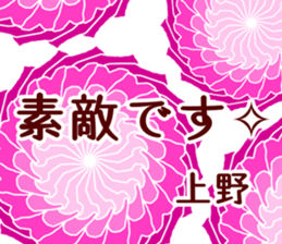 59728602