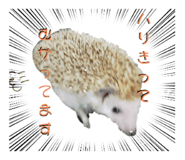 597296324