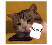 597305644
