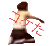 597331592